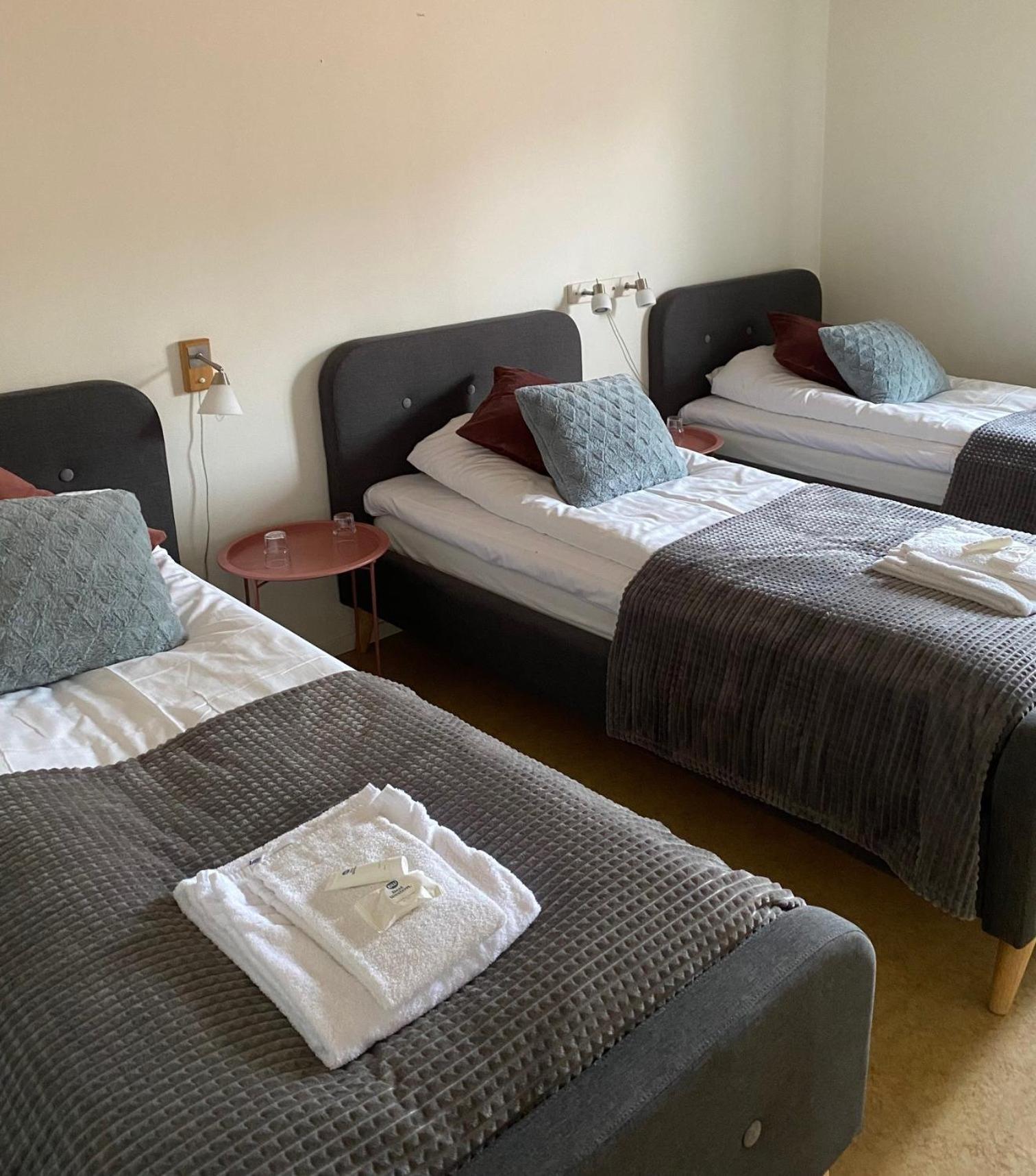 Snoea Bruk Hotell Och Konferens Dala-Jarna Esterno foto