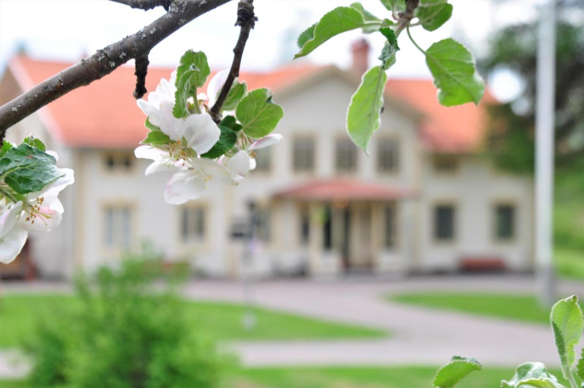Snoea Bruk Hotell Och Konferens Dala-Jarna Esterno foto